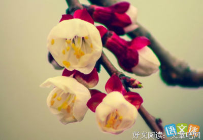 描写潮起潮落的经典句子