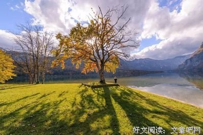 关于光明磊落的格言