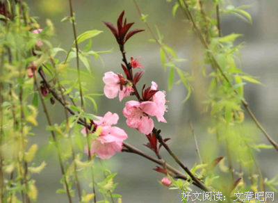 关于朝气蓬勃的语句