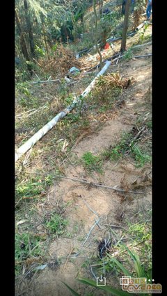 无法无天的名人名言