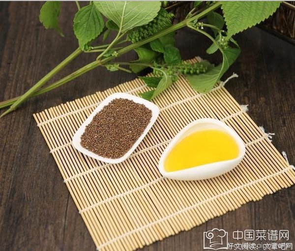 健康，比什么都重要