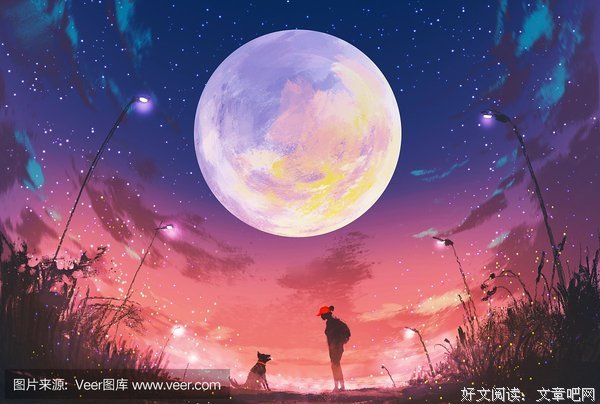 《犬附少女》小说摘抄