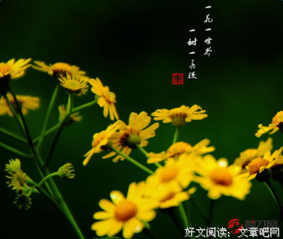 子问名句欣赏
