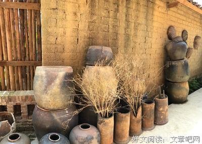 《美丽乡村》经典观后感1000字