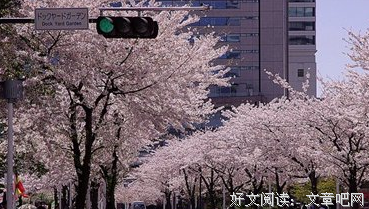 你喜欢的他气开地子我于到变自有的句子