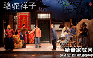 《叶之震颤》读后感精选