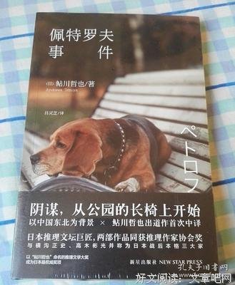 佩特罗夫事件读后感1000字