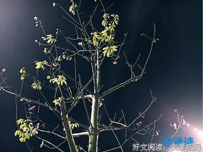 《生死忧患》语录摘抄