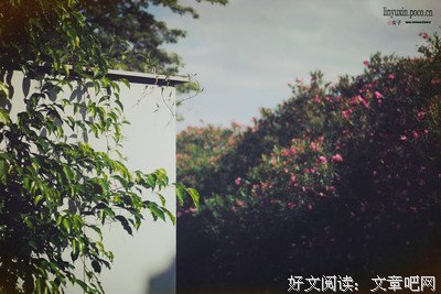 半城盛夏经典的句子