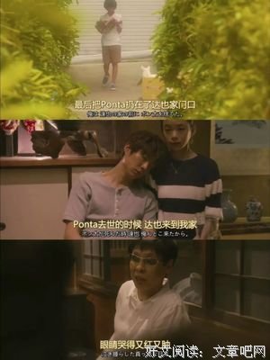 《我与尾巴与神乐坂》好看吗？经典观后感锦集