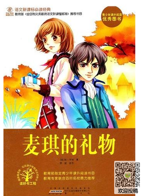 《给心理治疗师的礼物（万千心理）》读后感100字