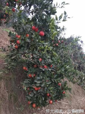 《塔罗冥想》读后感锦集