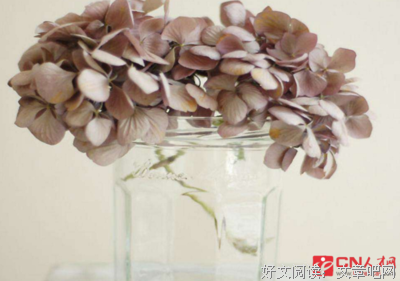 《呵》的句子