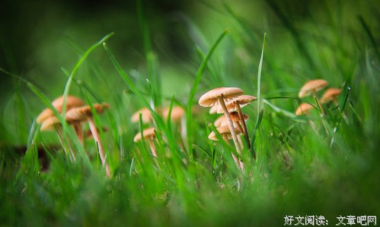 看待事物的三个层次