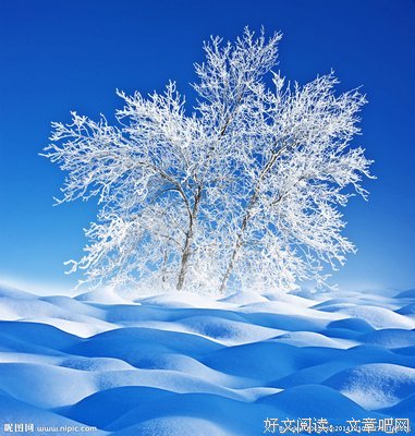 描写冰天雪地的经典句子