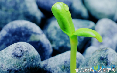 关于一分为二的名言