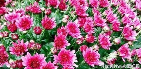 物来为考经典的句子