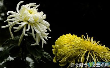 人生训诫好词好句