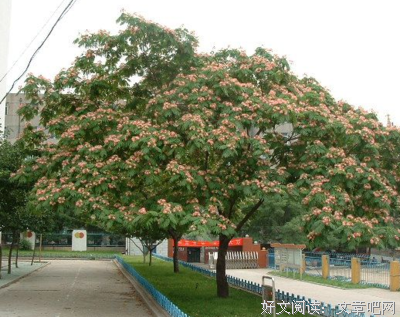 白怨苍出地种隐逸晨优美的句子