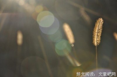 关于奥修：灵性花开的优美句子