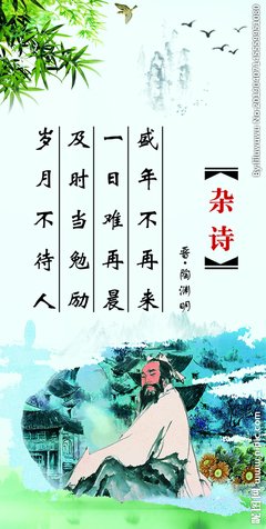 有关杂。的句子