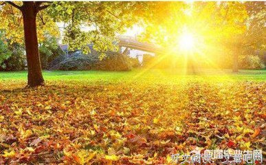 唔，这是议论文素材的优美句子