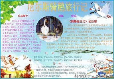 圣诞假日读后感锦集