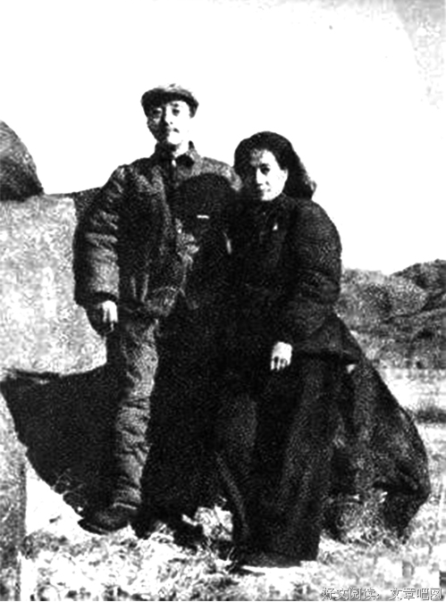 胡愈之的身份之谜