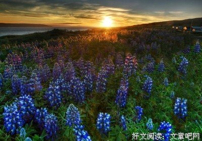 关于别有用心的语句