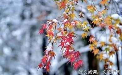 别把善良给错了人！
