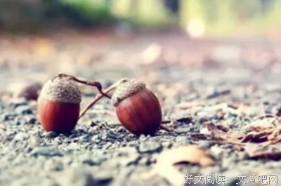 清心寡欲格言警句