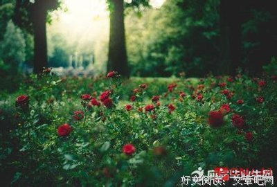 锦句好词好句