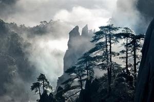 情若绊心莫相识名句欣赏