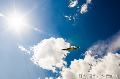 灵心好词好句