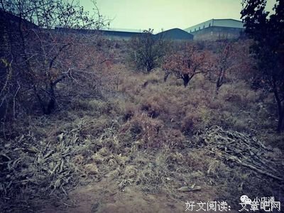 一年卖2.5亿：小店疯狂背后，你不知道的事…