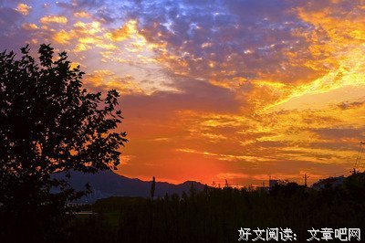 名的优美句子