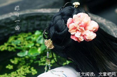 雨落长安经典的句子