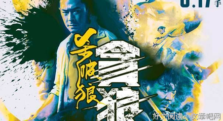 《杀破狼》的观后感大全