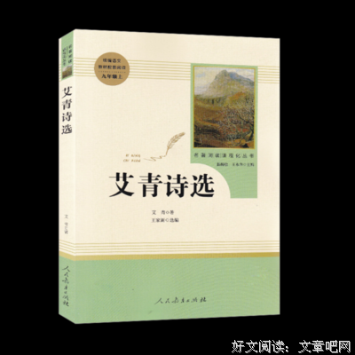 《第三帝国的到来》读后感精选