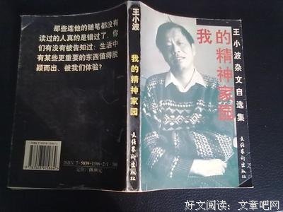 王小波作品集（小说卷）读后感精选