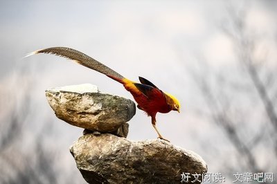 关于翻山越岭的座右铭