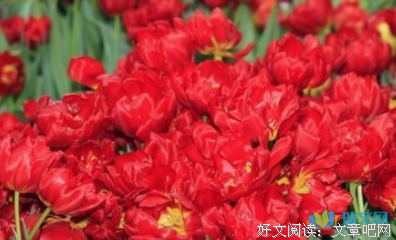 关于千丝万缕的唯美语录