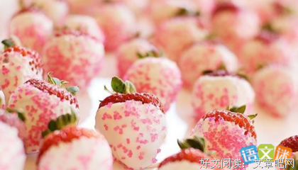 关于美味佳酿的优美句子