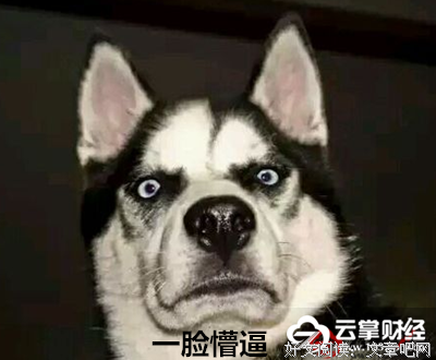最经典的《破茧成蝶》名句欣赏大全