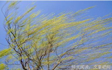 有关春风已吹过的句子