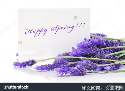 写文素材句子