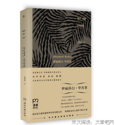 《狄金森 第一季》经典影评1000字