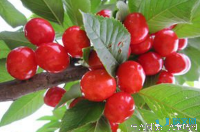 有关摘抄的句子