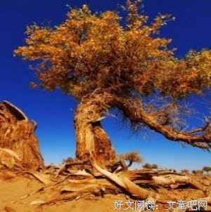 《区线与环线》读后感1000字