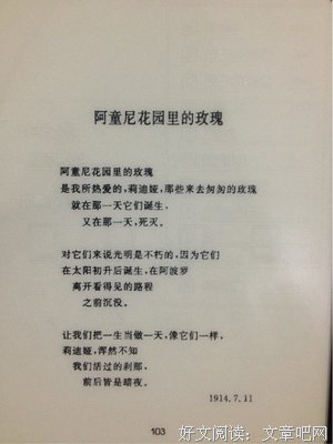 《佩索阿诗选》读后感锦集